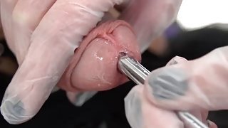 Urethral insertion