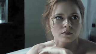 Batman v Superman Dawn of Justice (2016) Amy Adams